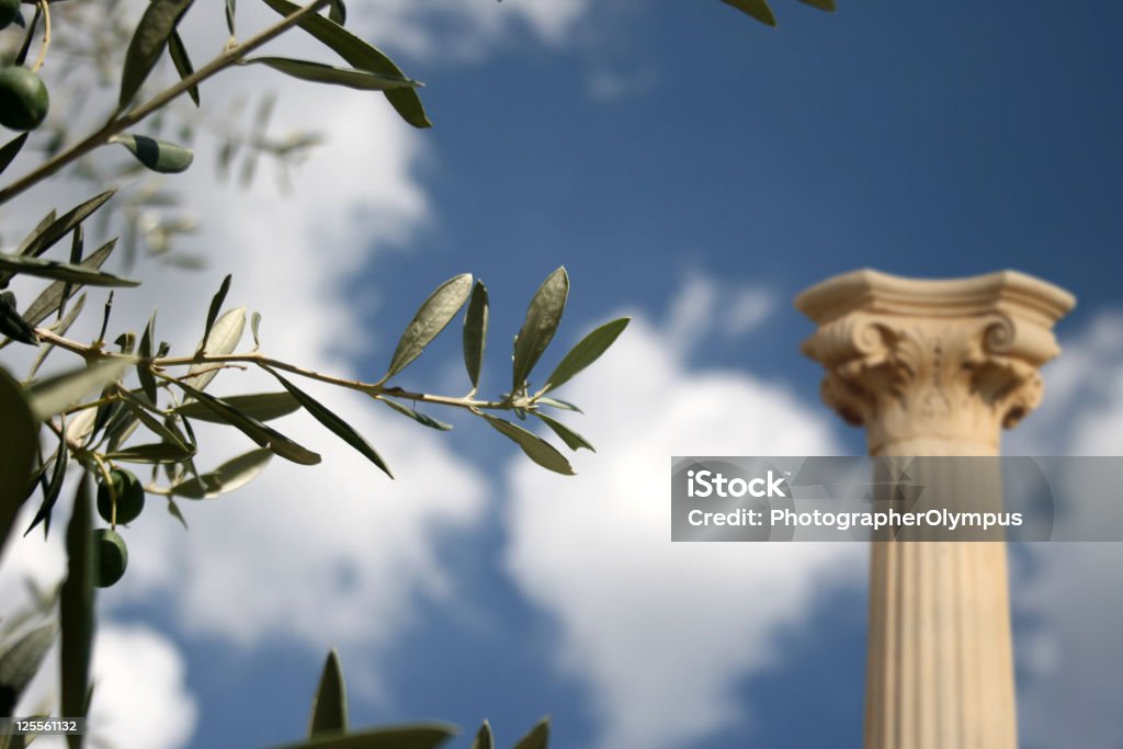 Colonne et Oline tree - Photo de Olive libre de droits