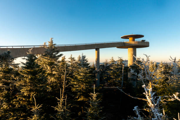 clingmans dome. parco nazionale delle great smoky mountains - blue ridge mountains mountain range north carolina tennessee foto e immagini stock