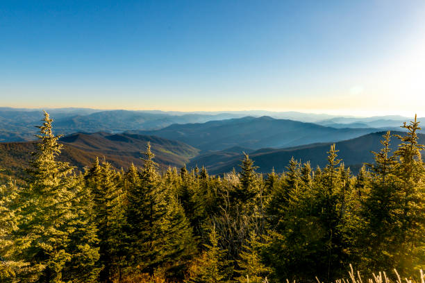 grandes montañas humeantes de la cúpula de clingmans - blue ridge mountains mountain range north carolina tennessee fotografías e imágenes de stock