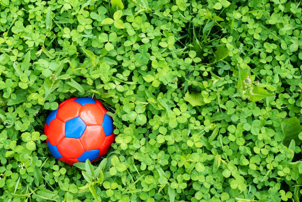 Child soccer ball on the green lawn grass background.