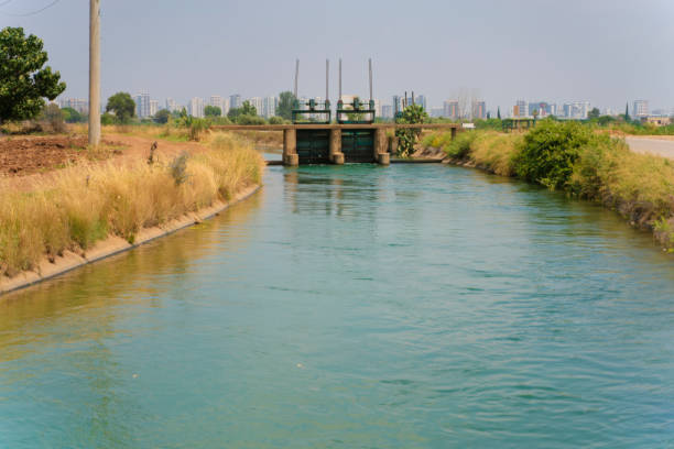istock Irrigation canal along the rice farm 1255617497