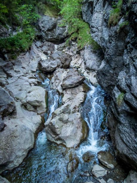 istock The Starzlachklamm in Allgau 1255618258