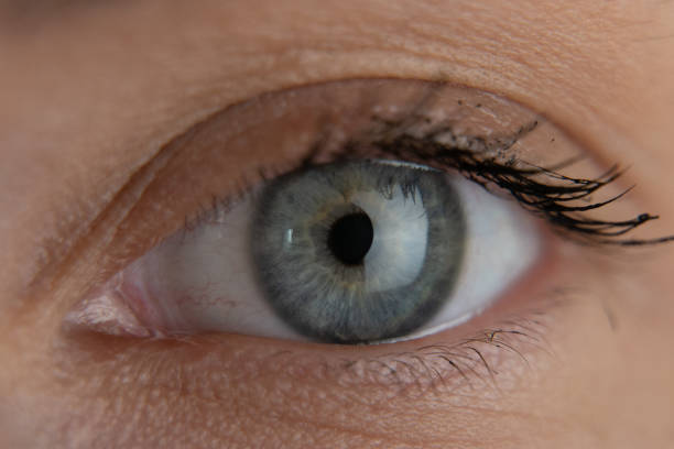 istock Close up beautiful blue eye opening human iris macro natural beauty 1255618285
