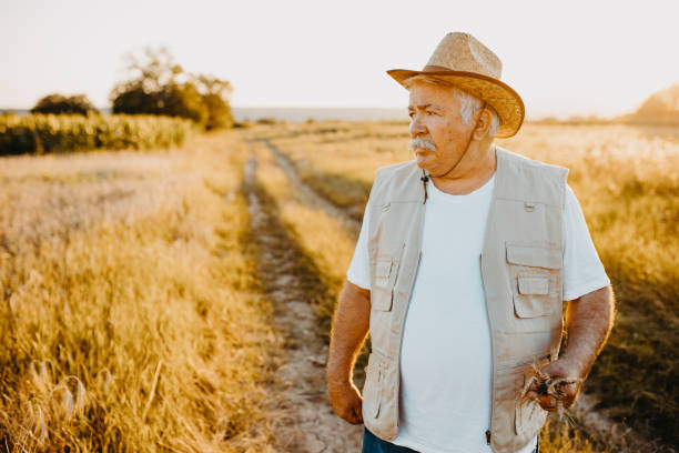 istock Active senior farmer on harvest time 1255620198