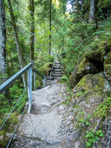istock The Starzlachklamm in Allgau 1255620599