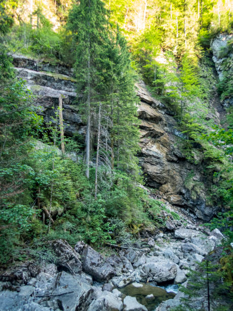 istock The Starzlachklamm in Allgau 1255621587