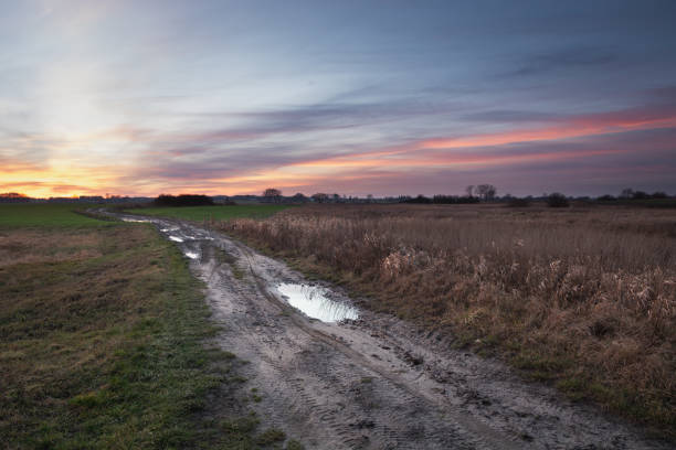 istock Country road through fields and sunset 1255623267