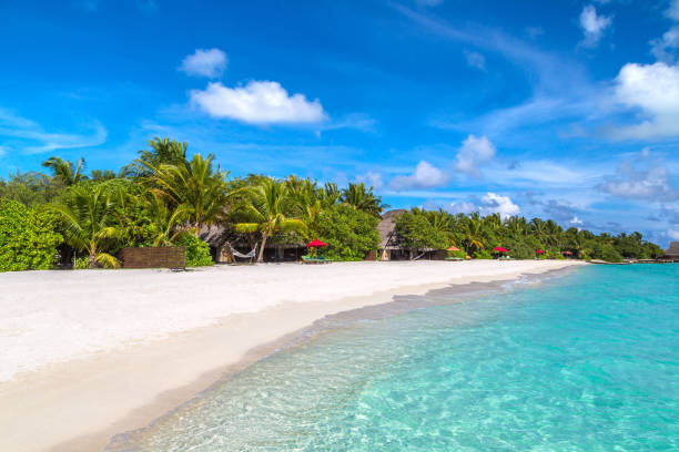 istock Tropical beach in the Maldives 1255624129