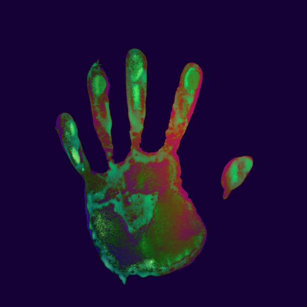 Colorful hand prints on white background