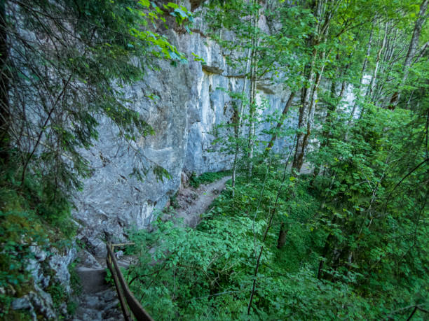 istock The Starzlachklamm in Allgau 1255625404