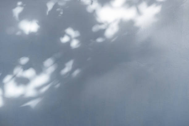 istock stone texture for backgrounds image photo stock 1255626650