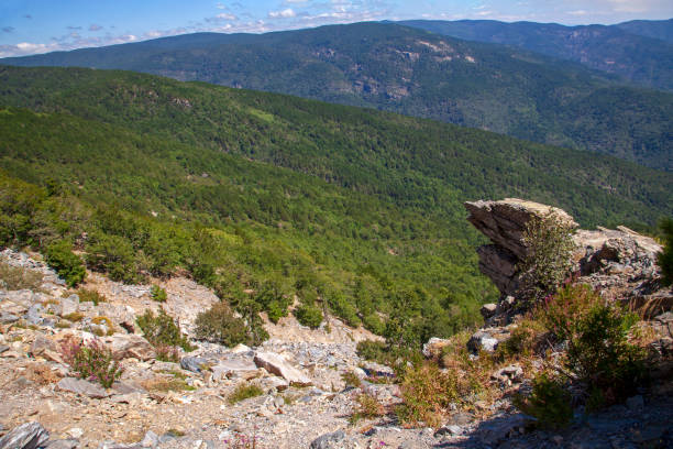 istock Heaven in the Mount Ida in autumn, Turkey 1255627926