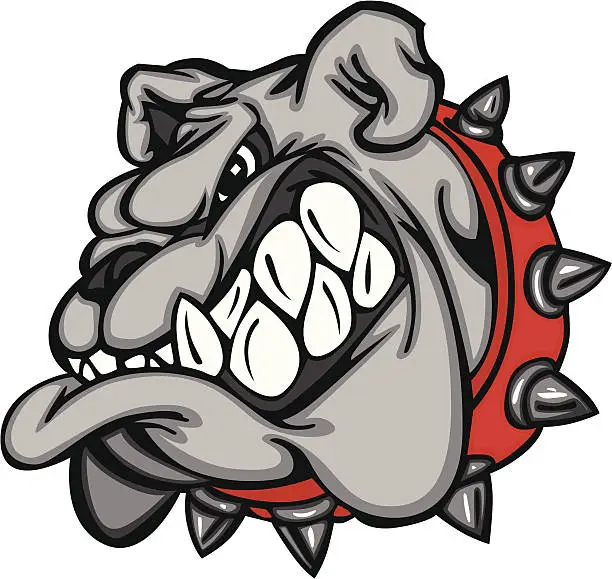 Vector illustration of Cartoon bulldog face with big teeth and a red, spiked collar