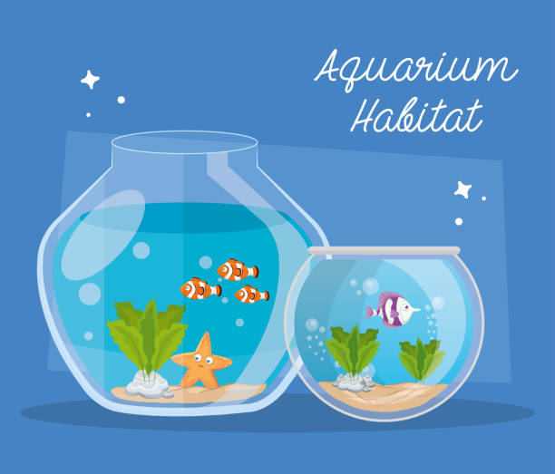 istock aquariums fishes with water, aquariums marine pets 1255630957