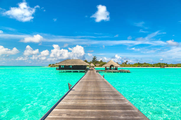 istock Water Villas (Bungalows) in the Maldives 1255634067