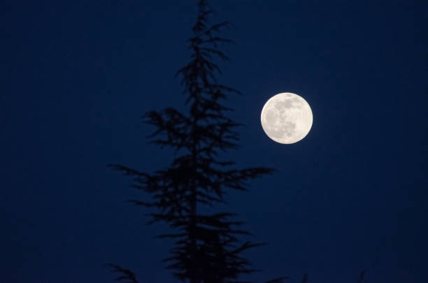 istock View of the Moon 1255635116