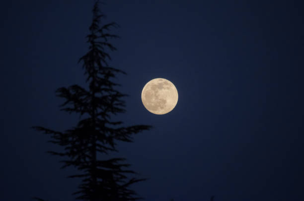 istock View of the Moon 1255635141