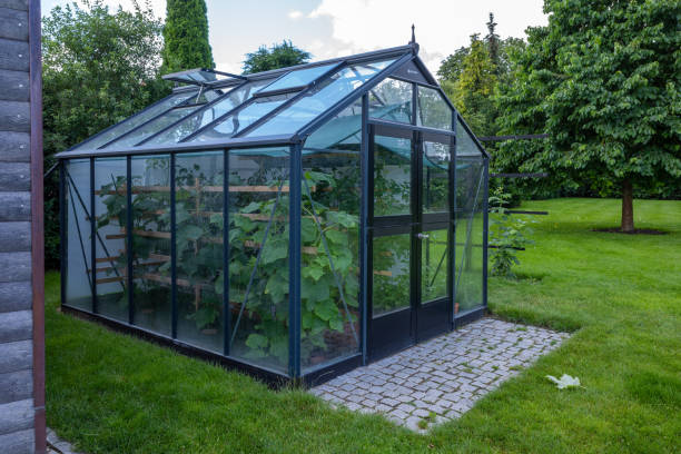 istock small greenhouse stands in a garden 1255635155