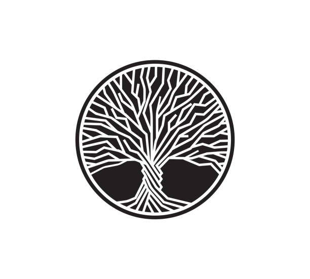 czarno-białe drzewo izolowane logo wektora. symbol wiedzy. okrągły element natury. - spring oak tree leaf oak leaf stock illustrations