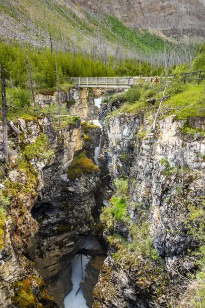 Marble Canyon and Tokumm Creek in Kootenay National Park, British Columbia, Canada