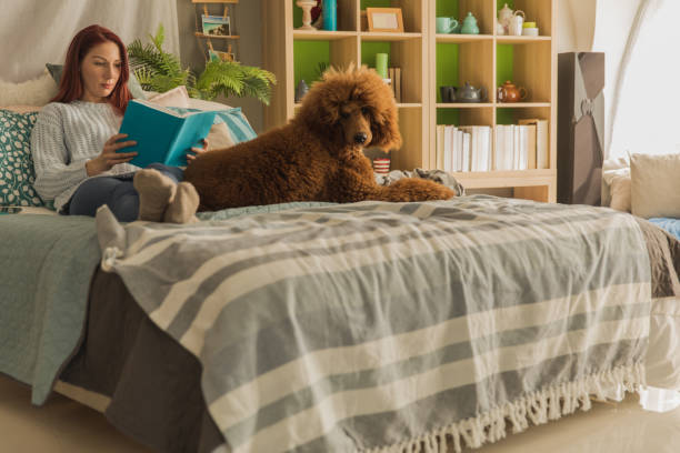 istock Woman reading a book and her dog relaxing next to her 1255651064