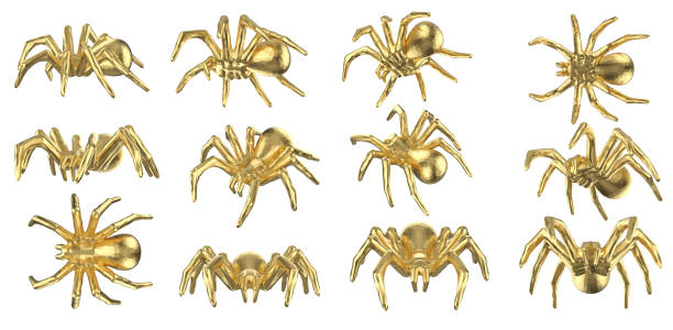 istock Set of polygonal tarantulas 1255651161