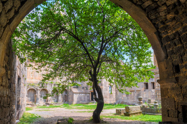 アルメニアの観光名所、タテフ修道院の領土で育つ木 - armenian culture armenia saint monastery ストックフォトと画像