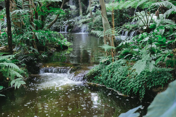 istock watefall & pond plant tree in garden park 1255651377