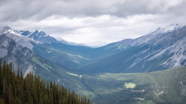 istock Beautiful alpine valley in Canadian Rockies 1255657016