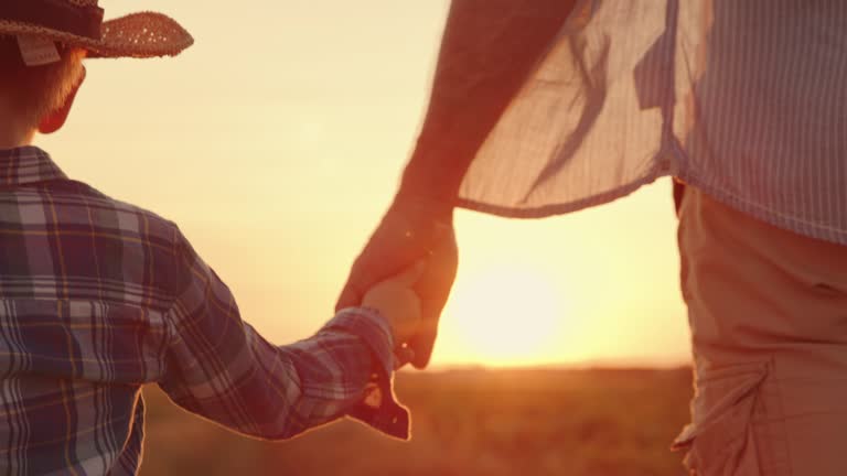 Two slow motion shots of a father holds his son's hand as they walk across the field at sunset. Shoot in 8K resolution.