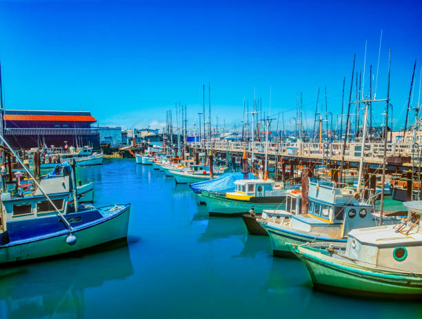 Fishing boats at Fisherman's Wharf  in San Francisco Bay, California Fishing boats are moored in the water of the San Francisco Bay with the Fisherman's Wharf in the background. fishermans wharf san francisco photos stock pictures, royalty-free photos & images