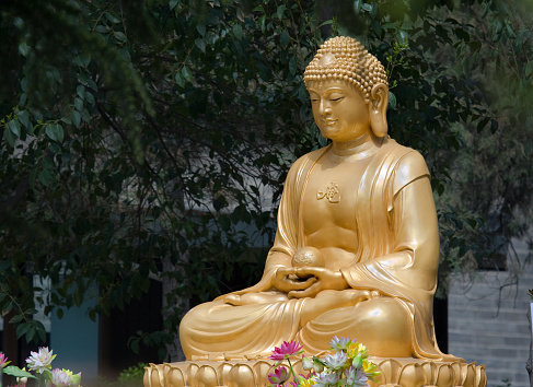 Golden Buddha at Wild Goose Pagoda, Xian, China