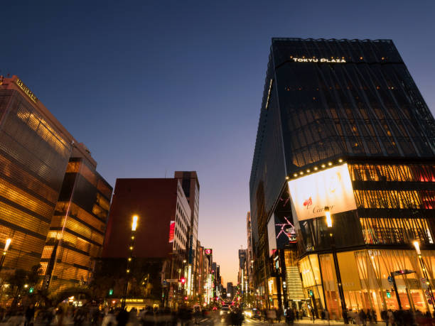 istock Sukiyabashi crossing in Ginza at dusk 1255662144
