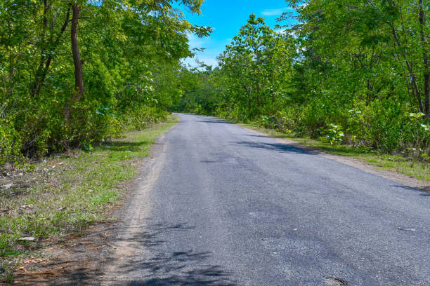 istock Beautiful Road Among Green Nature View Looking Cool 02. 1255662201