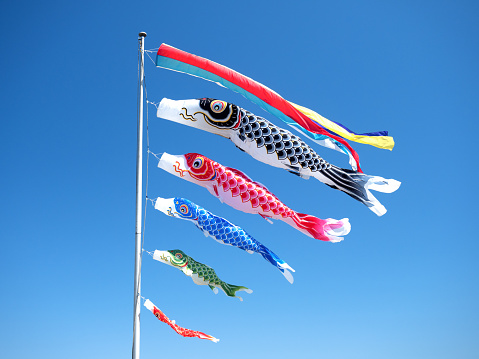 Japanese carp streamers swimming in the blue sky