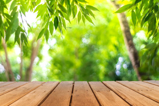 istock Selective focus of empty old wood on blur nature blur park with bokeh abstract background. 1255662819