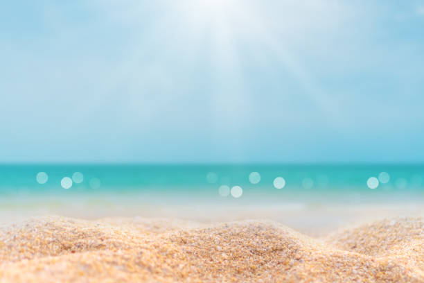 istock Tropical nature clean beach and white sand in summer with palm tree leaf sun light blue sky and bokeh abstract  background. 1255662894