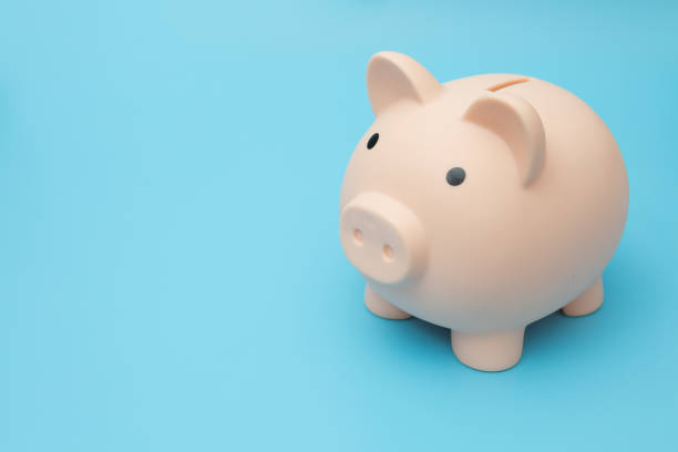 istock Pig piggy bank on a blue background 1255669586