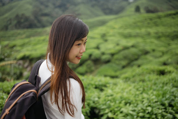 istock Young asian woman with backpack exploring tea plantation 1255672005