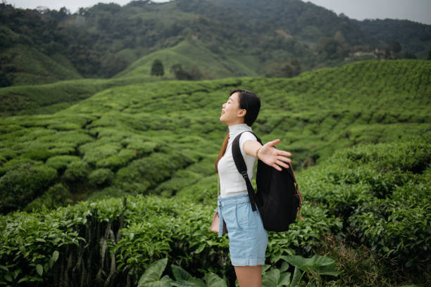 istock Young asian woman with backpack exploring tea plantation 1255672621