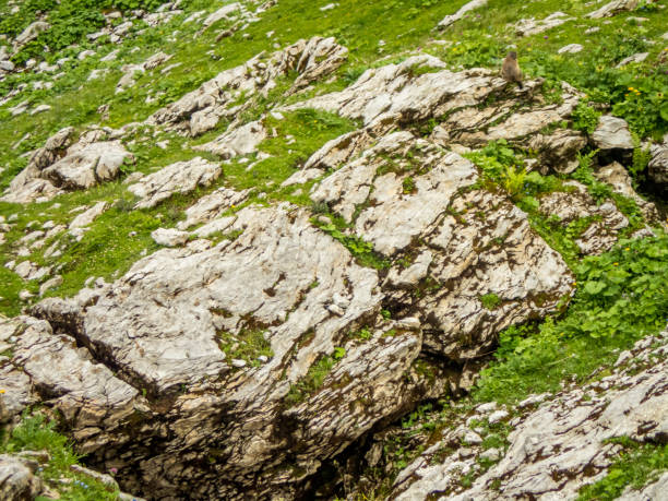 istock Panoramic hike at the Nebelhorn in Allgau 1255674583