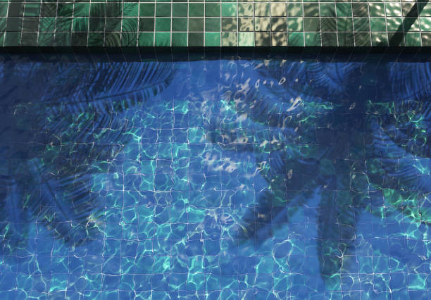 istock Beautiful swimming pool. Pool party, summer background. Top view, 3d illustration 1255683078