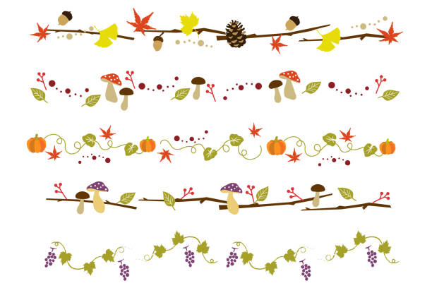 ilustraciones, imágenes clip art, dibujos animados e iconos de stock de conjunto de materiales de decoración de ilustración vectorial de plantas de otoño - ginkgo tree ginkgo tree japan