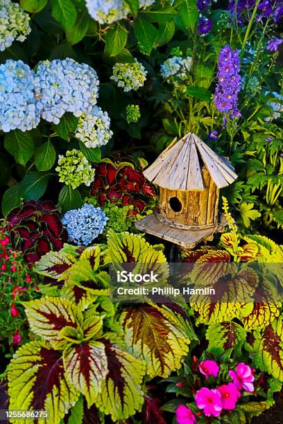 Birdhouse Garden Setting 14 Image Series Stock Photo - Download Image Now - Birdhouse, Nature, No People
