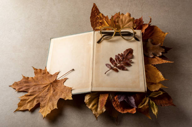 istock Old opened book, glasses and dry leaves on plain stone surface table. Reading, literature, poetry, library and autumn fall concept photo. 1255686912
