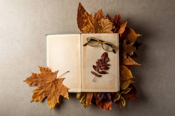 istock Old opened book, glasses and dry leaves on plain stone surface table. Reading, literature, poetry, library and autumn fall concept photo. 1255686963