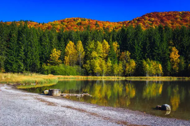 Photo of Wonderful autumn landscape with Saint Ana lake and colorful forest