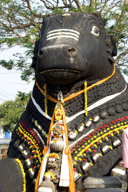 istock Face of Nandi at Chamundi Hills 1255687088