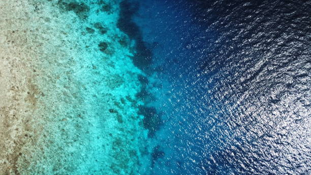 istock Uninhabited island JEEP island in Chuuk, Micronesia 1255691612