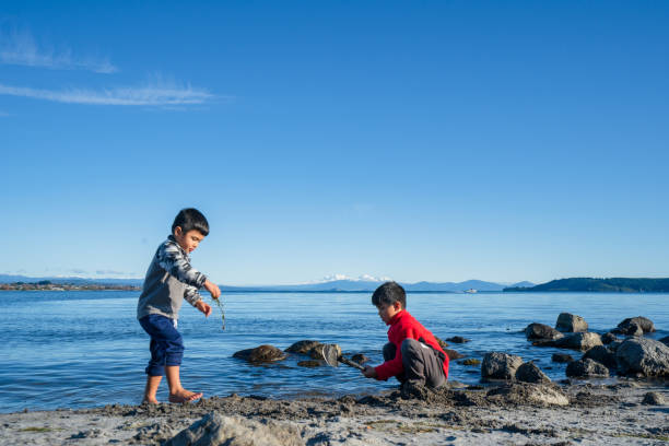 istock Kids at beach playing together. 1255692551